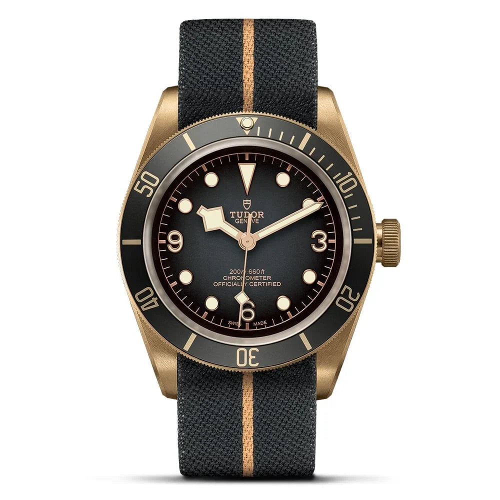 Tudor Black-Bay Bronze