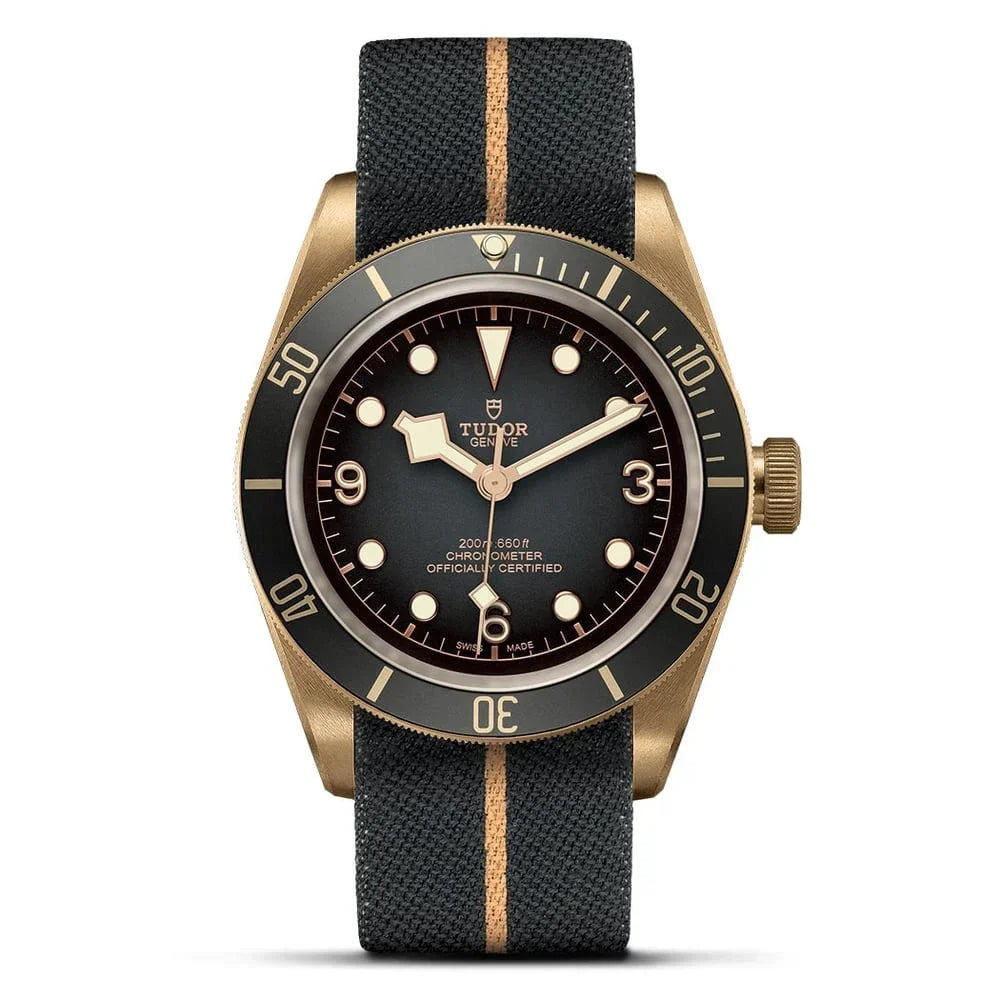 Tudor Black-Bay Bronze