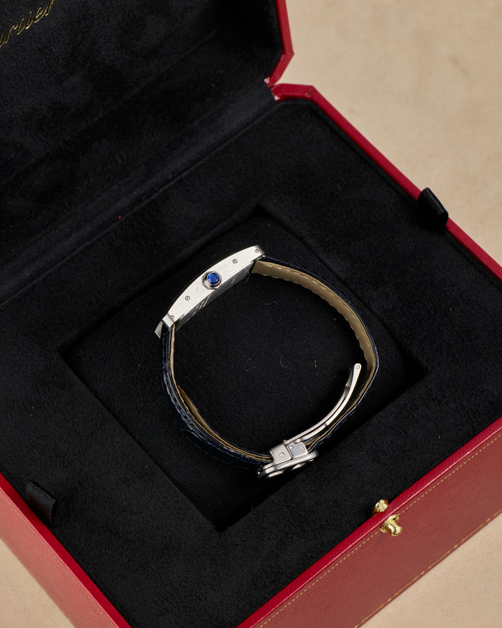 Cartier Santos De Cartier W20018D6