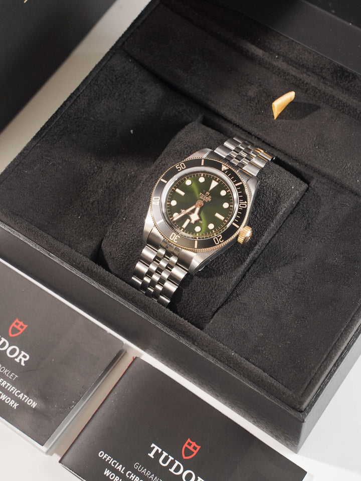 Tudor Black Bay 7941A1A3NU - 2024