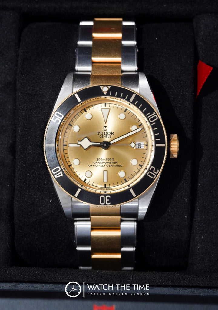 Tudor Black Bay Black Stainless Steel Yellow Gold 41mm - 79733N
