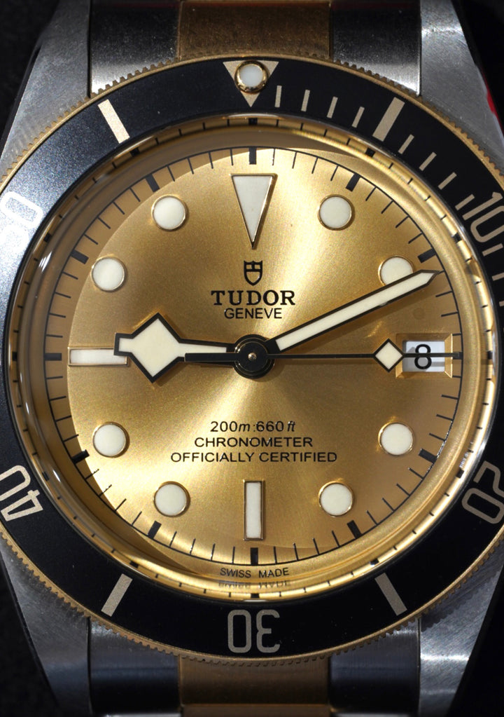 Tudor Black Bay Black Stainless Steel Yellow Gold 41mm - 79733N