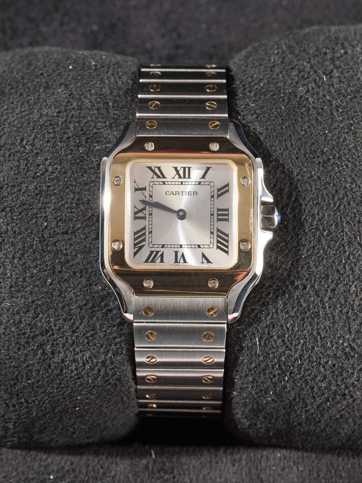 Cartier Santos W2SA0033 - 2025
