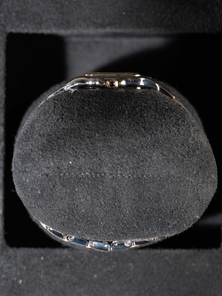 Cartier Panthere W2PN0018 - 2025