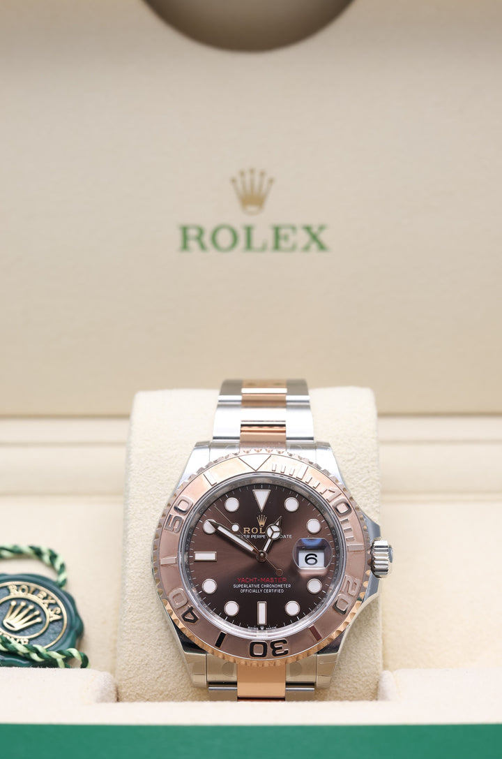 Rolex Yacht Master Chocolate Stainless Steel & Everose Gold 40mm - 126621