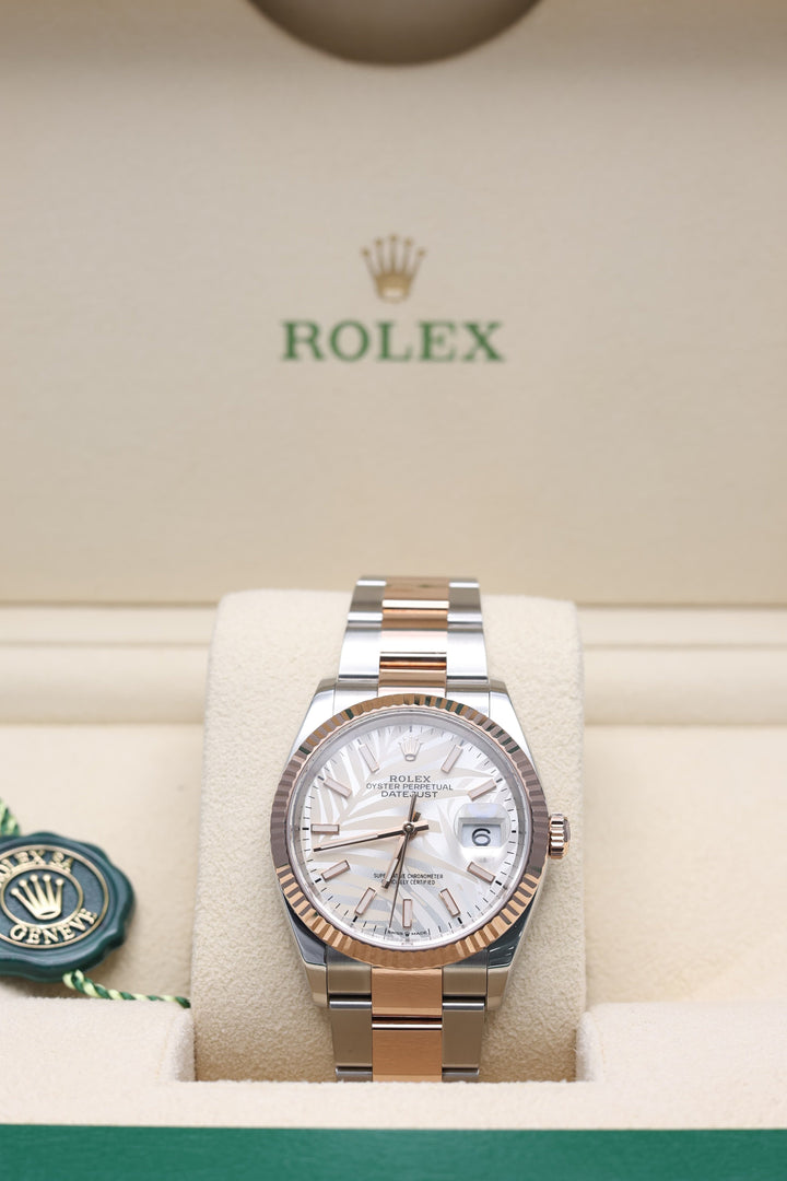 Rolex Datejust White Palm Stainless Steel & Everose Gold 36mm - 126231