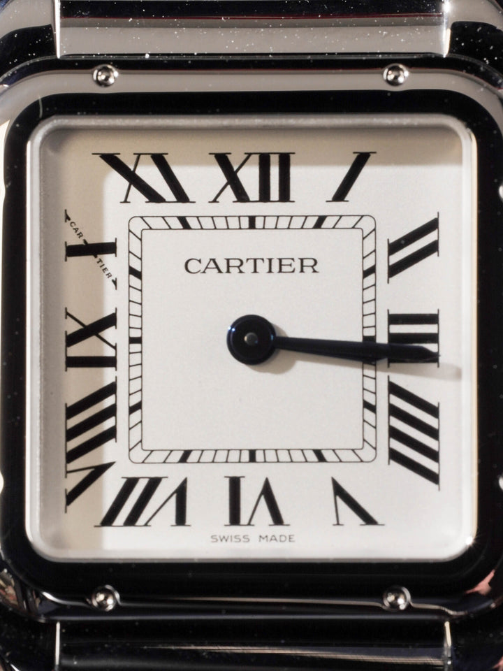 Cartier Panthere WSPN0015 - 2026