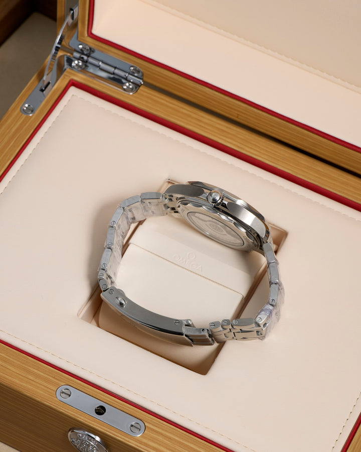 Omega Seamaster 21030422010001