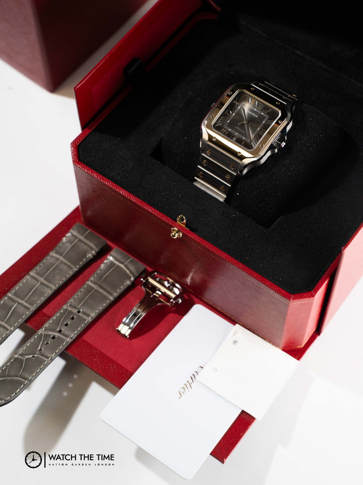 Cartier Santos W2SA0030 - 2025