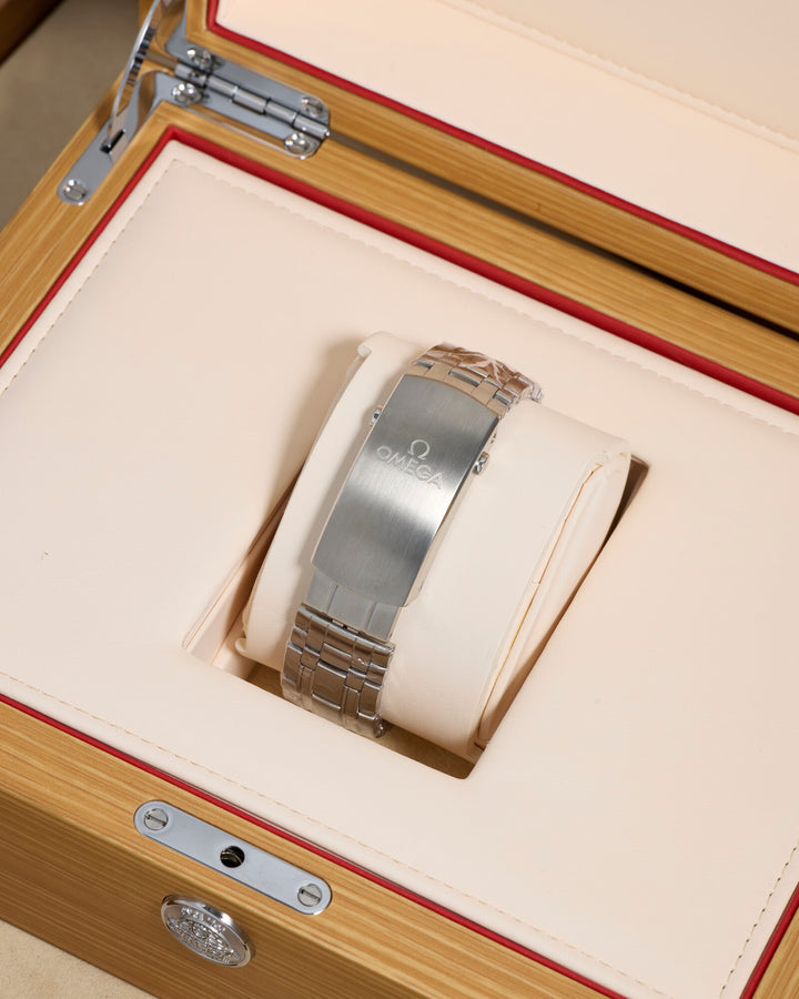 Omega Seamaster 21030422010001