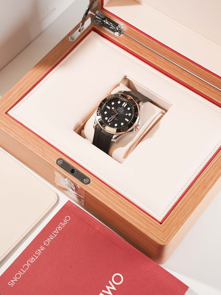 Omega Sea Master 21022422001002