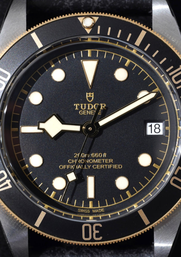 Tudor Black Bay 79733N - 2025